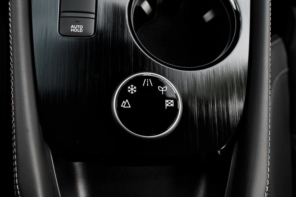 New 2026 Super Black Nissan Platinum image 19