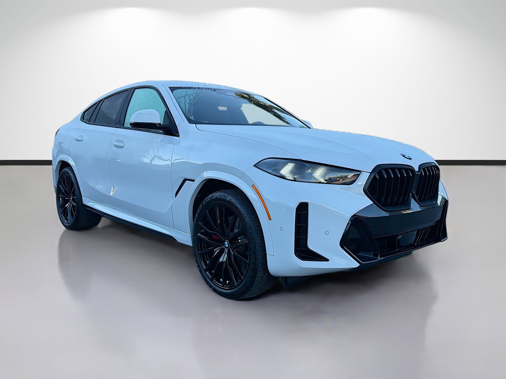 2026 BMW X6