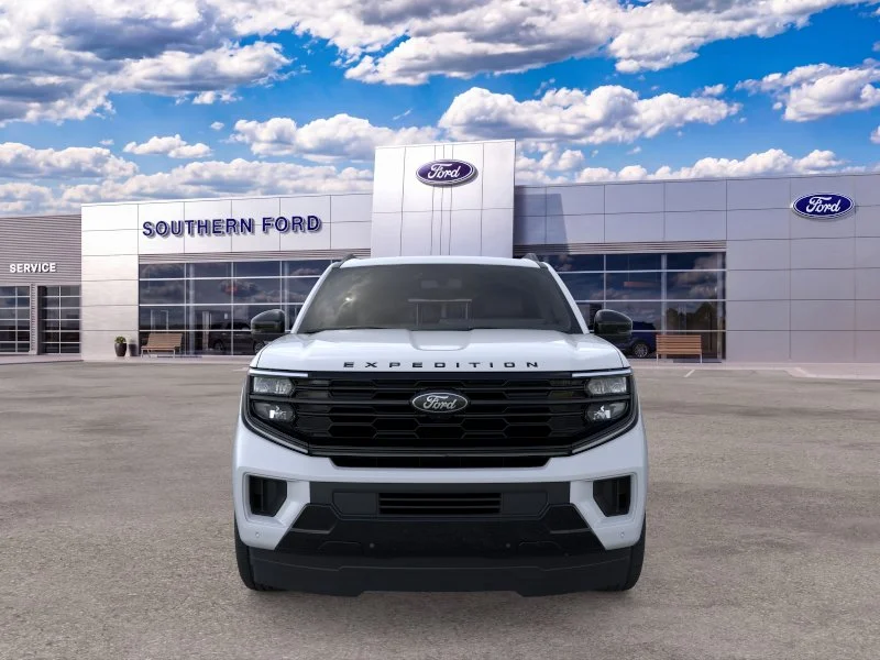 New 2026 Space Silver Metallic Ford Platinum image 30