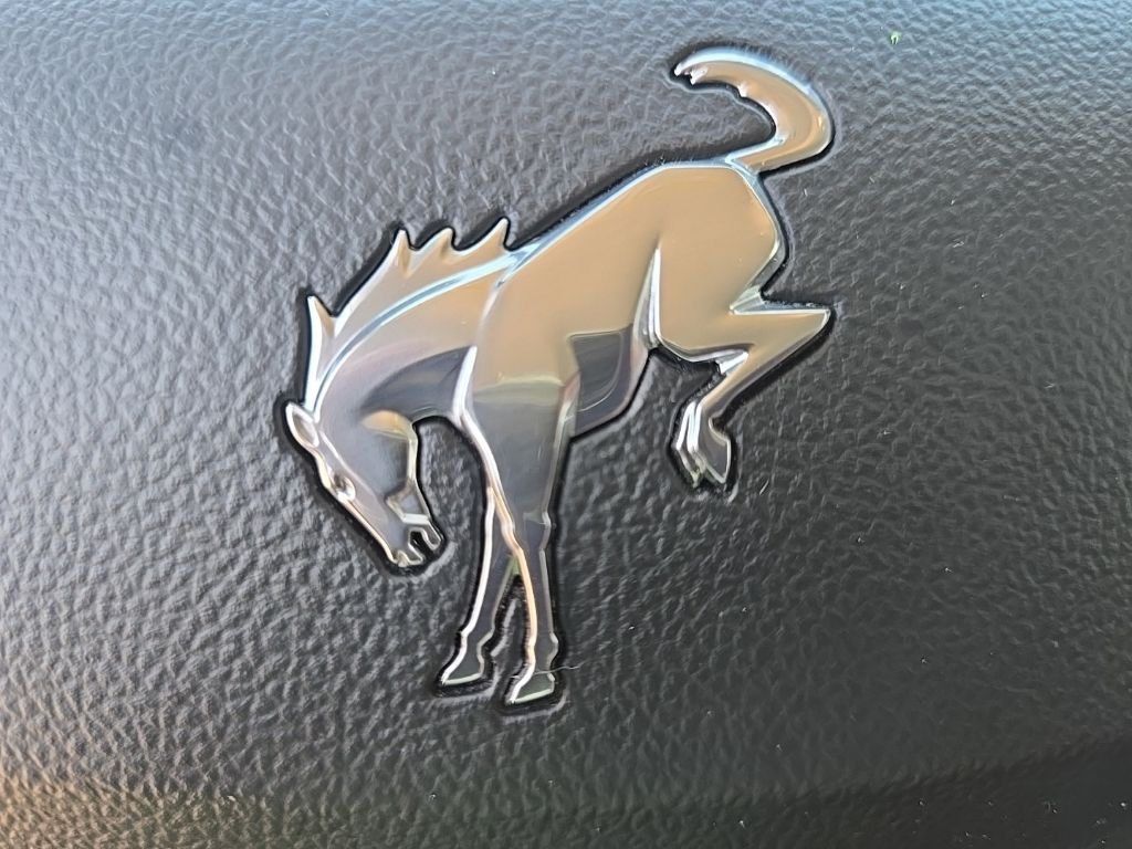 Used 2021  Ford Big Bend image 99