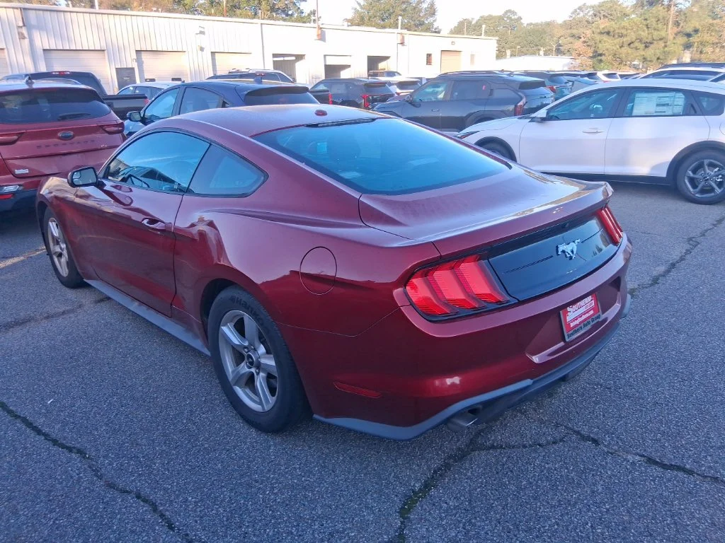 Used 2019 Red Ford EcoBoost image 5