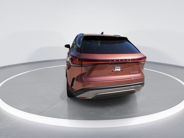 2025 Lexus RX - Photo 6