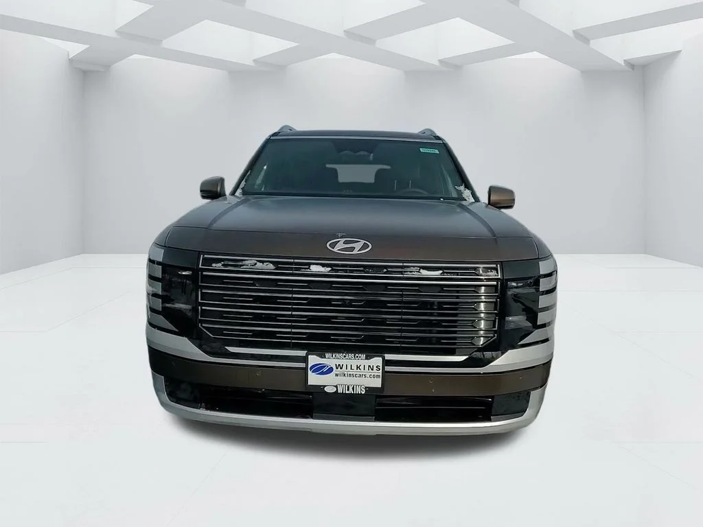 New 2026 Earthy Brass Matte Hyundai Calligraphy image 2