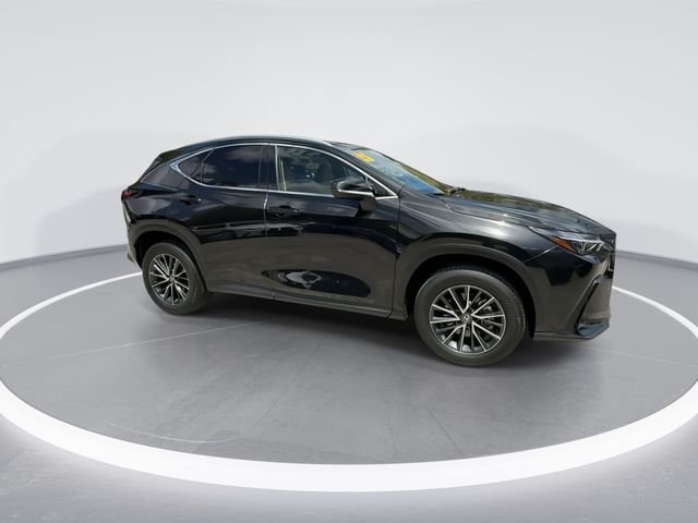 2025 Lexus NX 250 - Photo 9