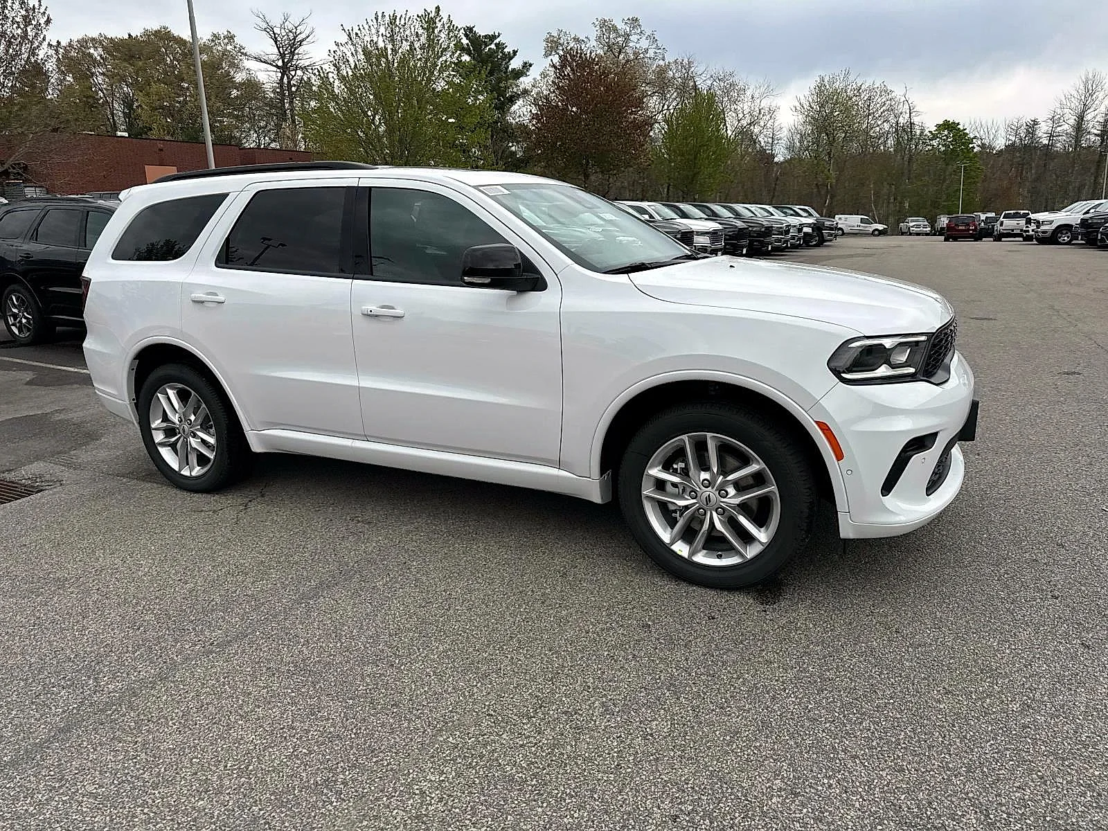 New 2026 White Knuckle Clear-Coat Exterior Paint Dodge GT Plus image 6