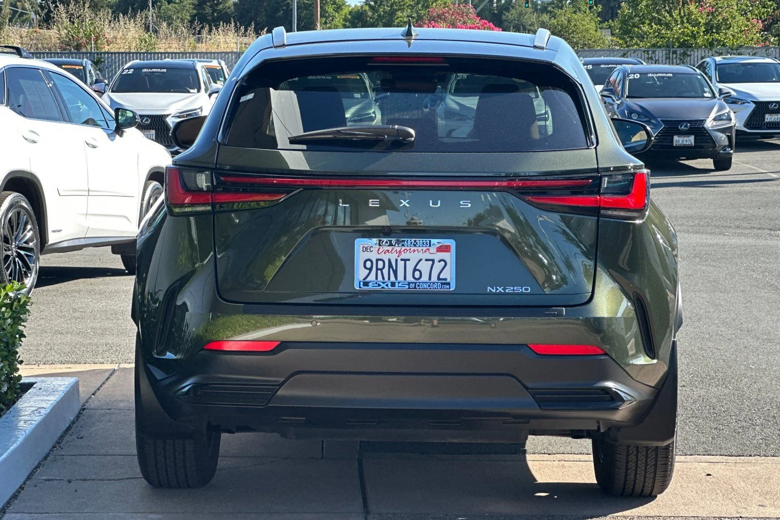 Used 2025 Green Pearl Lexus 250 Premium image 5