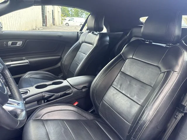 Used 2019 Blue Ford EcoBoost Premium image 14