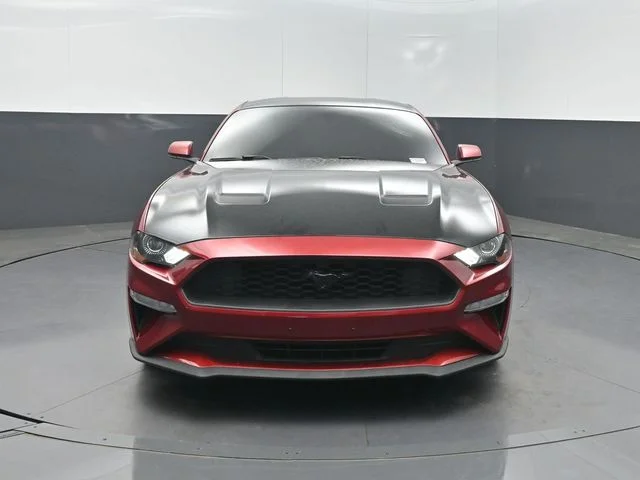 Used 2019 Red Ford EcoBoost image 28