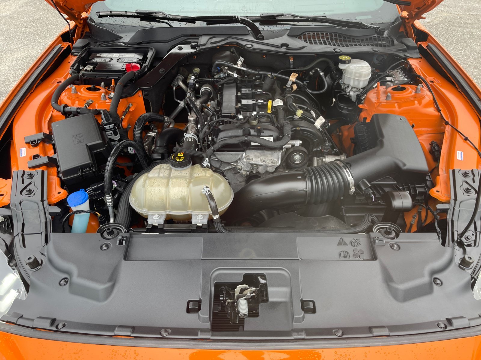 2021 Ford Mustang EcoBoost Premium - Photo 18