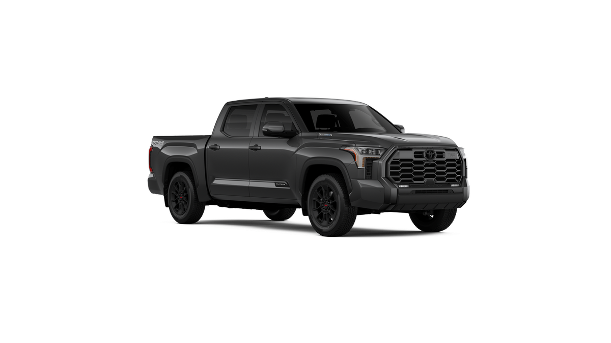 New 2026 Magnetic Gray Metallic Toyota Platinum image 30