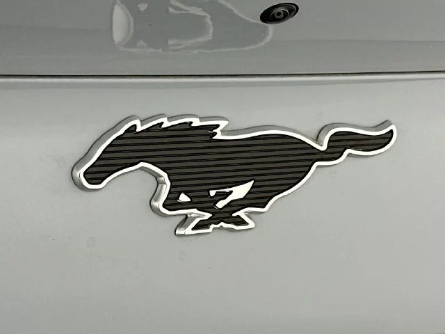 New 2026 Gray Ford Premium image 25
