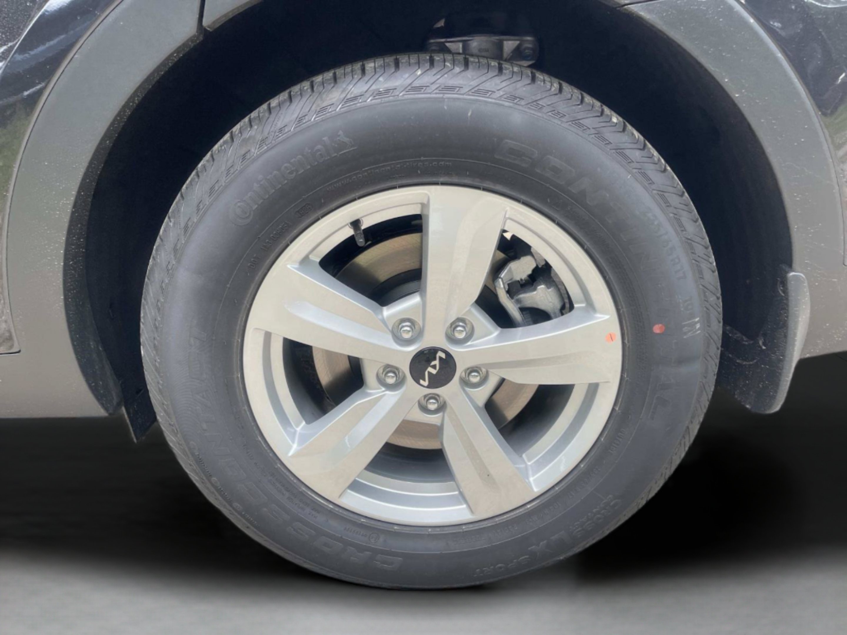 New 2026 Panthera Metal Kia LX image 11