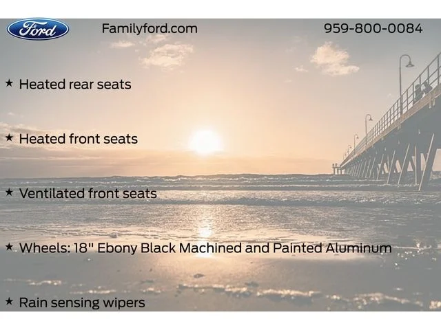 New 2026 Agate Black Metallic Ford F-250® Platinum® image 54