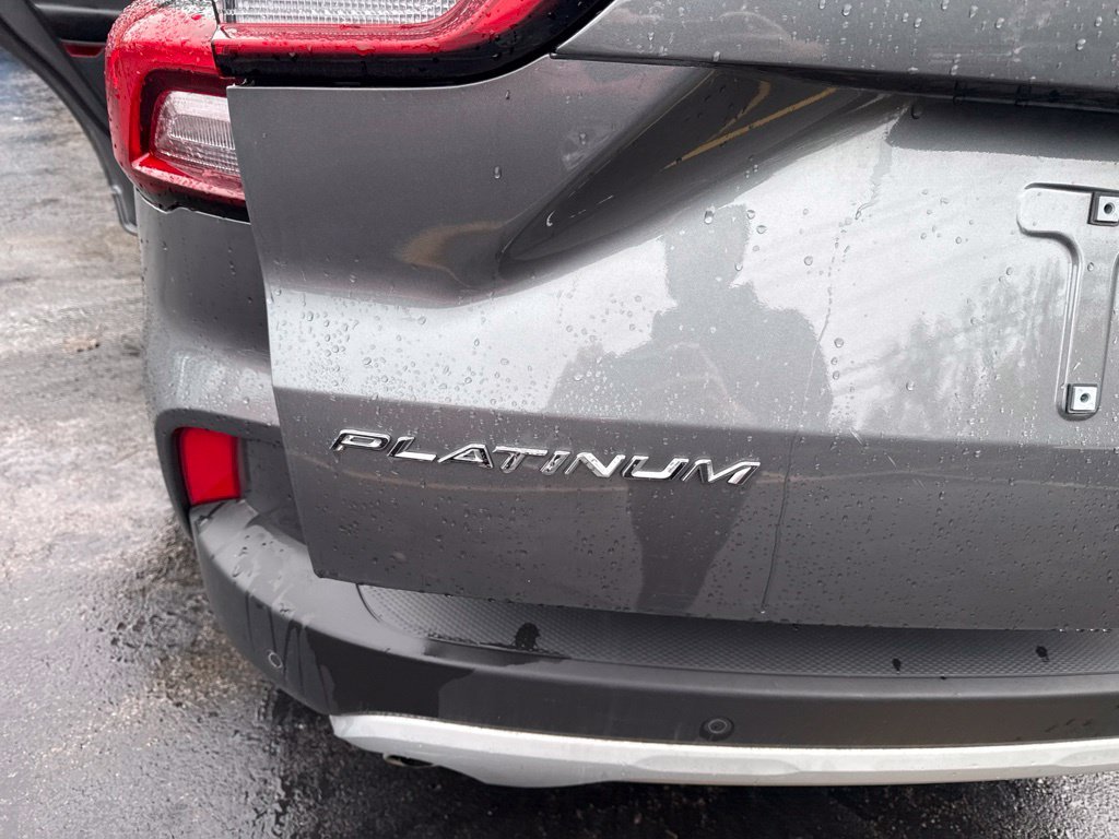 Used 2025 Gray Ford Platinum image 16