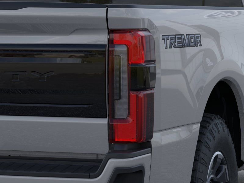 New 2026 White Ford Platinum image 21