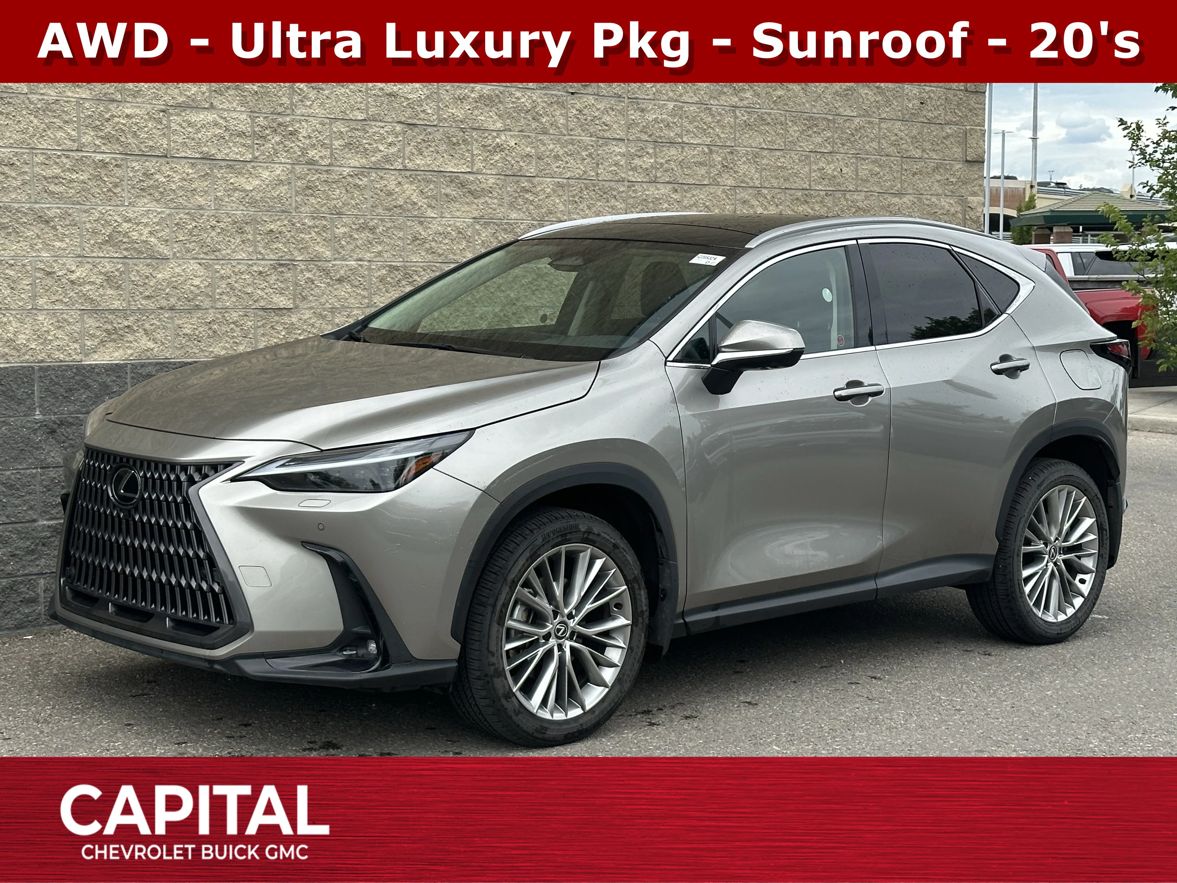 Certified Used 2024  Lexus NX 350 image 1