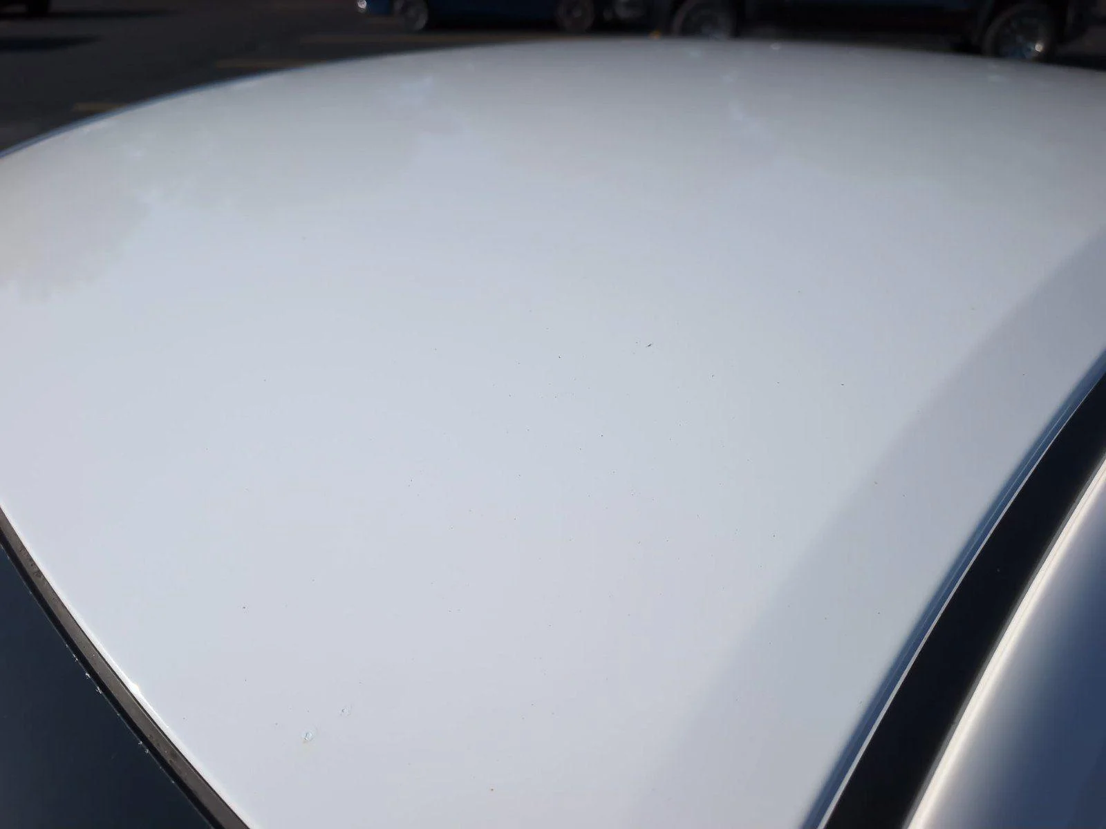 Used 2024 Fresh Powder Nissan S image 14