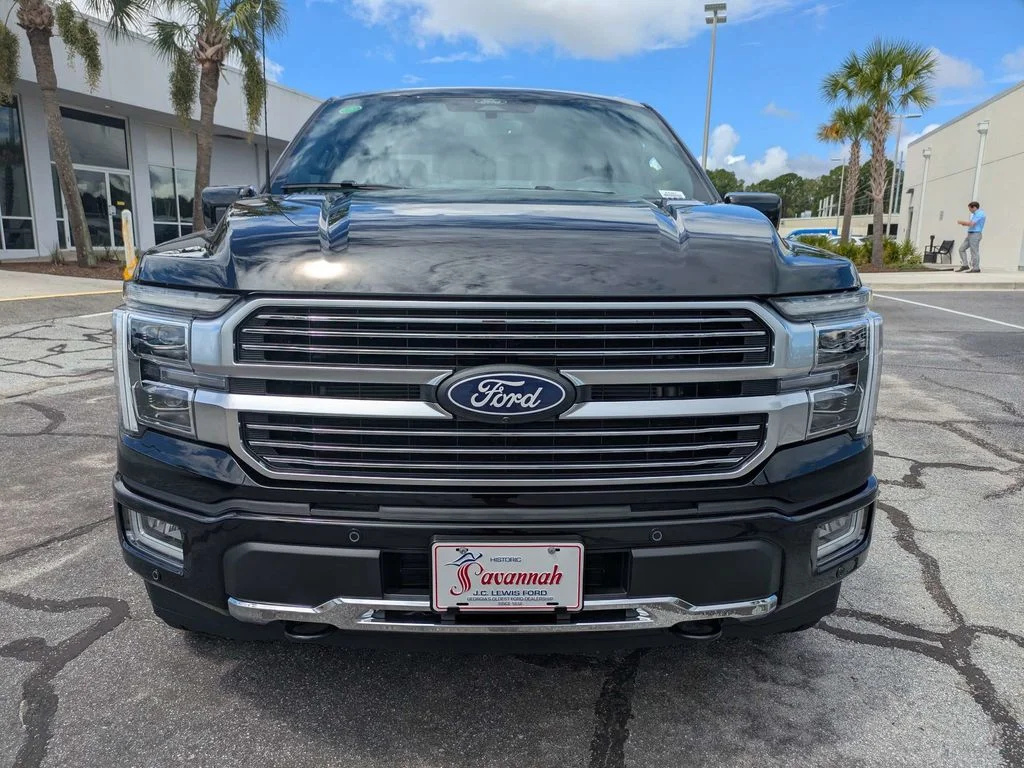 New 2026 Agate Black Metallic Ford Platinum image 9