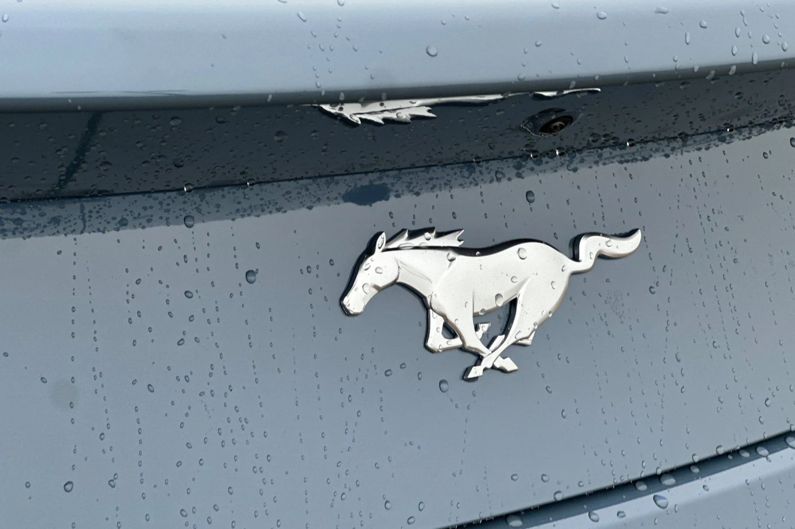 New 2026 Vapor Blue Metallic Ford EcoBoost® Fastback image 21
