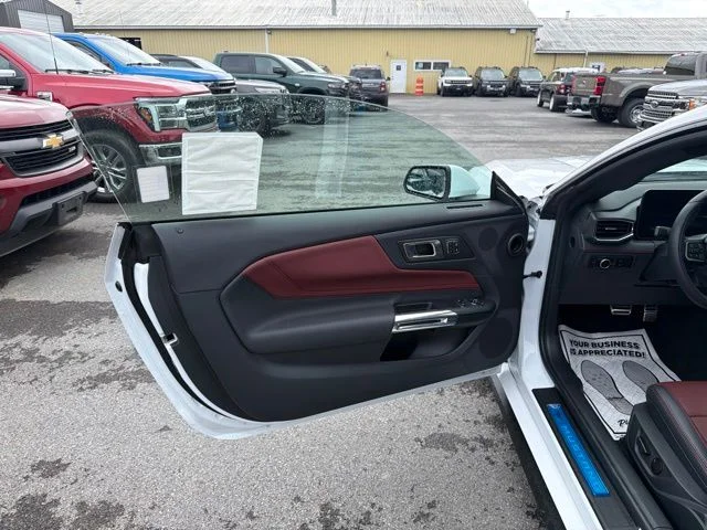 2025 Ford Mustang EcoBoost Premium Fastback - Photo 17
