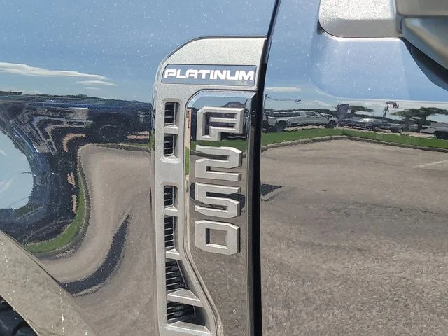 New 2026 Black Metallic Ford Platinum image 8