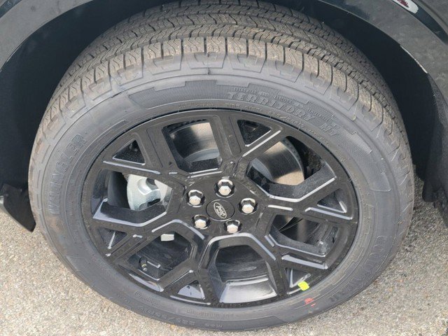 Used 2026 Shadow Black Ford Lobo Standard image 8
