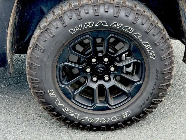 Used 2025 Blue Ram Rebel image 7