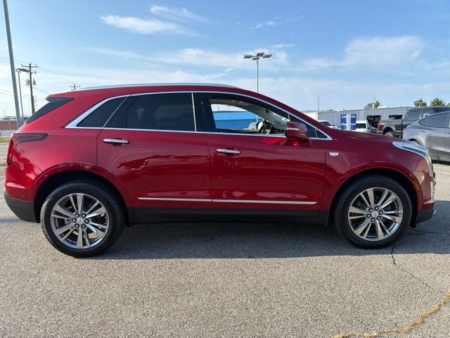 Used 2026 Radiant Red Cadillac Premium Luxury image 2