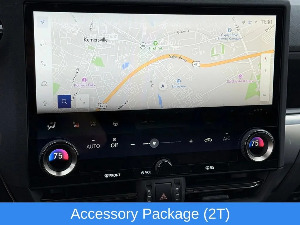 Used 2025 Gray Lexus Luxury image 7