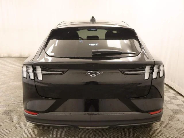 New 2026 Shadow Black Ford Premium image 23