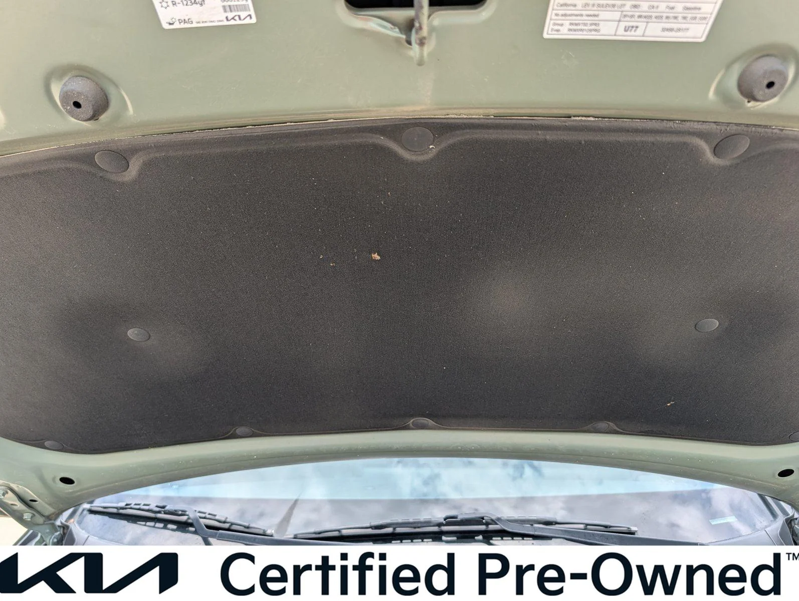 Used 2024 Jungle Green/Ebony Black Roof Kia X-Pro Prestige image 35