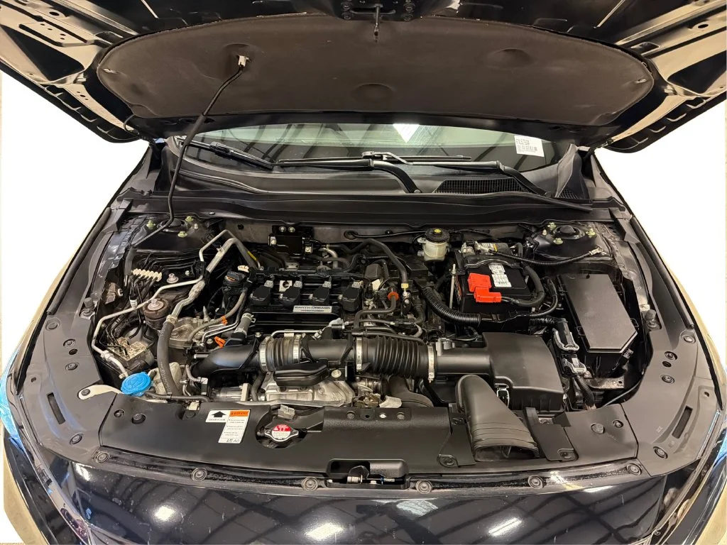Used 2019 Black Honda Sport image 23