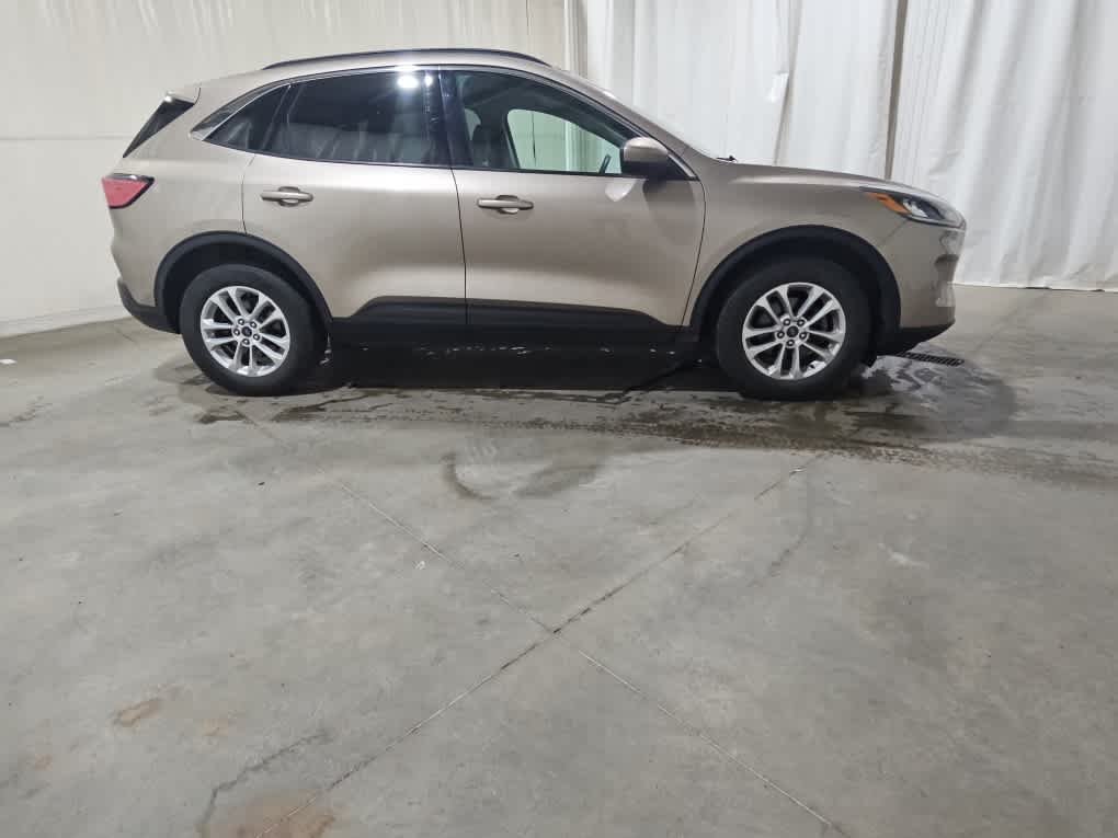 Used 2020 Desert Gold Metallic Ford SE image 5