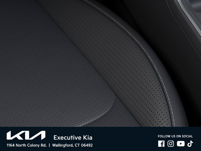 New 2026 Panthera Metal Kia EX image 24