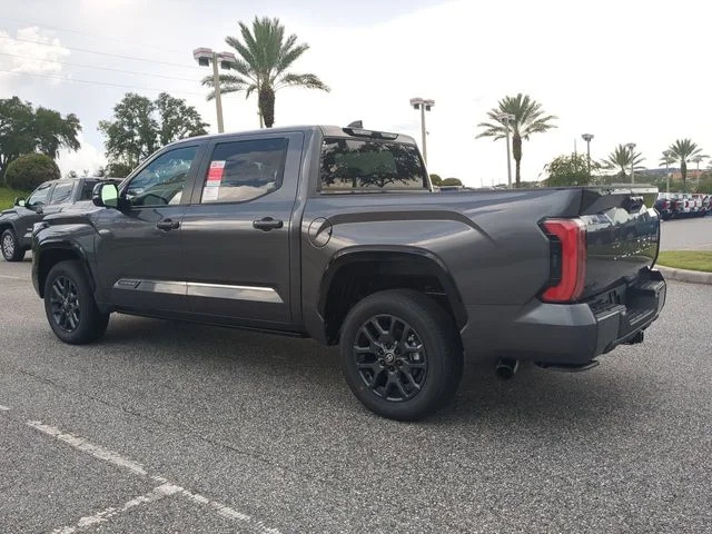 New 2026 Magnetic Gray Metallic Toyota Platinum image 6
