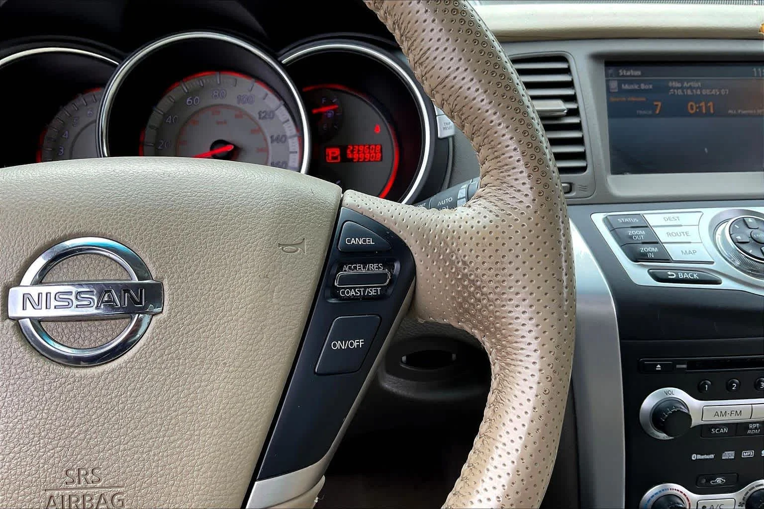 Used 2009 Platinum Graphite Nissan SL image 24