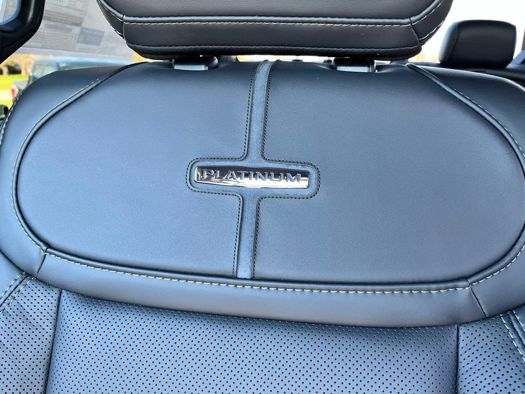 New 2026 Silver Ford Platinum image 24