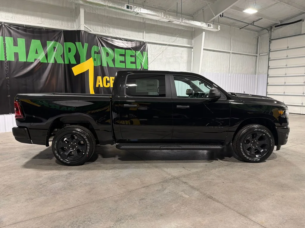 New 2026 Diamond Black Crystal Pearl-Coat Exterior Paint RAM Express image 4