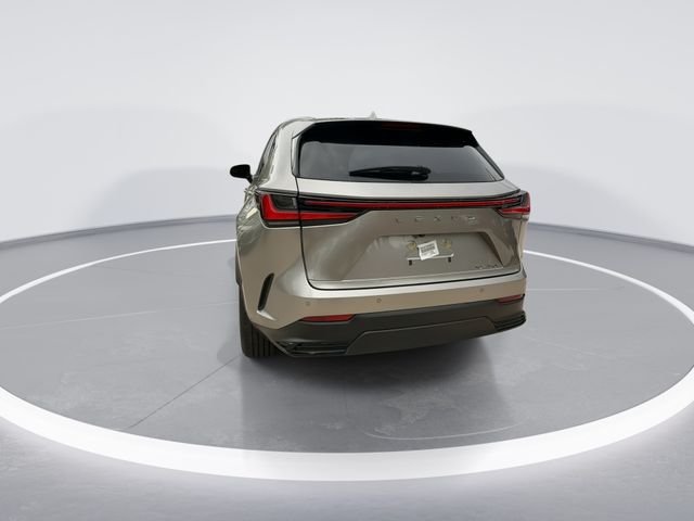 2025 Lexus NX 250 - Photo 6