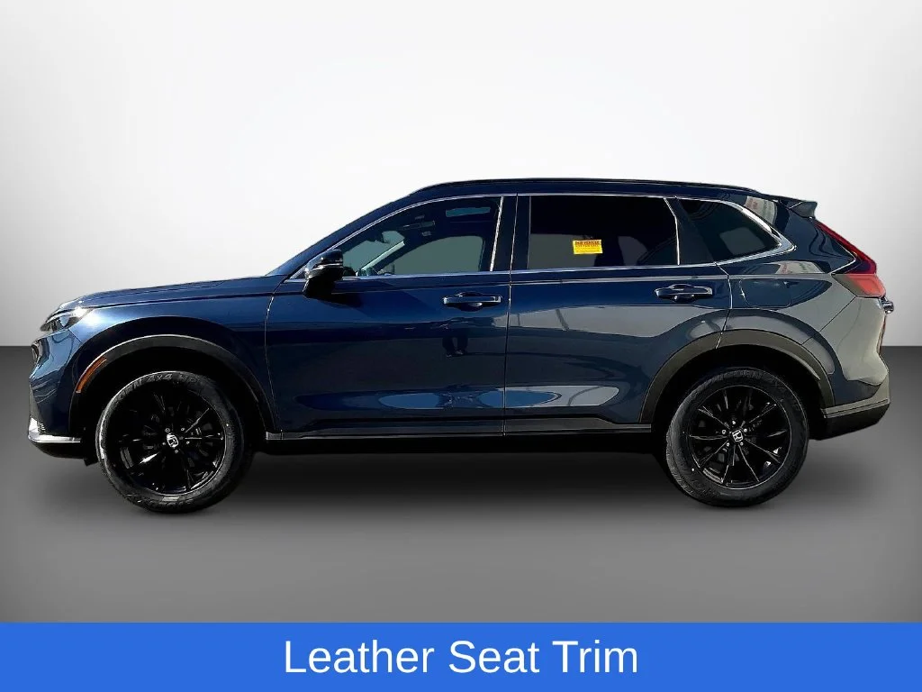 Used 2024 Blue Honda Sport-L image 4