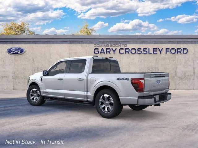 New 2026 Silver Ford Platinum image 4