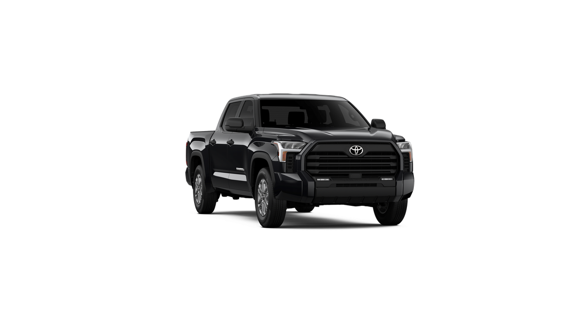 2025 Toyota Tundra SR5 - Photo 48