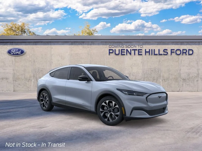 New 2026 Gray Ford Select image 7