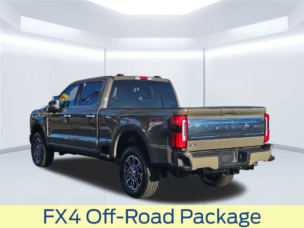 New 2027 Gray Ford Platinum image 21