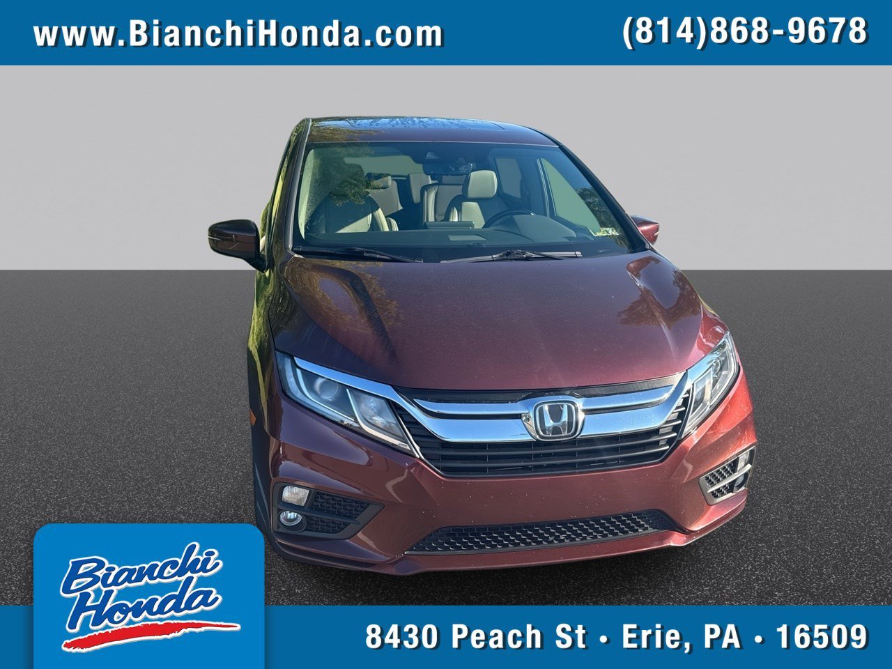 Used 2019  Honda EX-L image 1