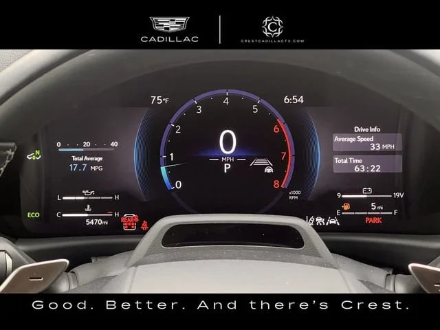 Used 2025 Gray Lexus Luxury image 13