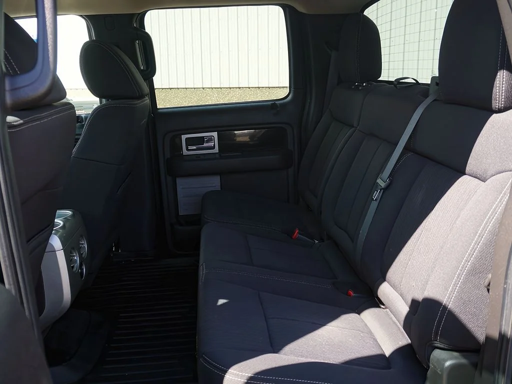 2010 Ford F-150 Platinum - Photo 38