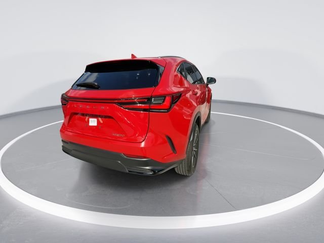 2025 Lexus NX 250 - Photo 7