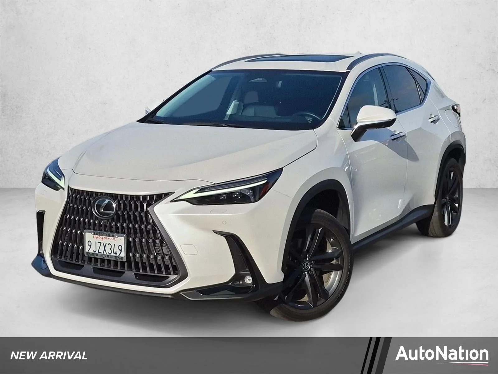 2024 Lexus NX PHEV