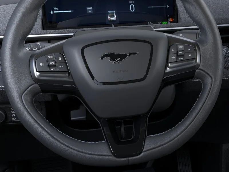 2025 Ford Mustang Mach-E GT - Photo 37